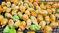 Brain Collapse Peach - Pepper Seeds - White Hot Peppers